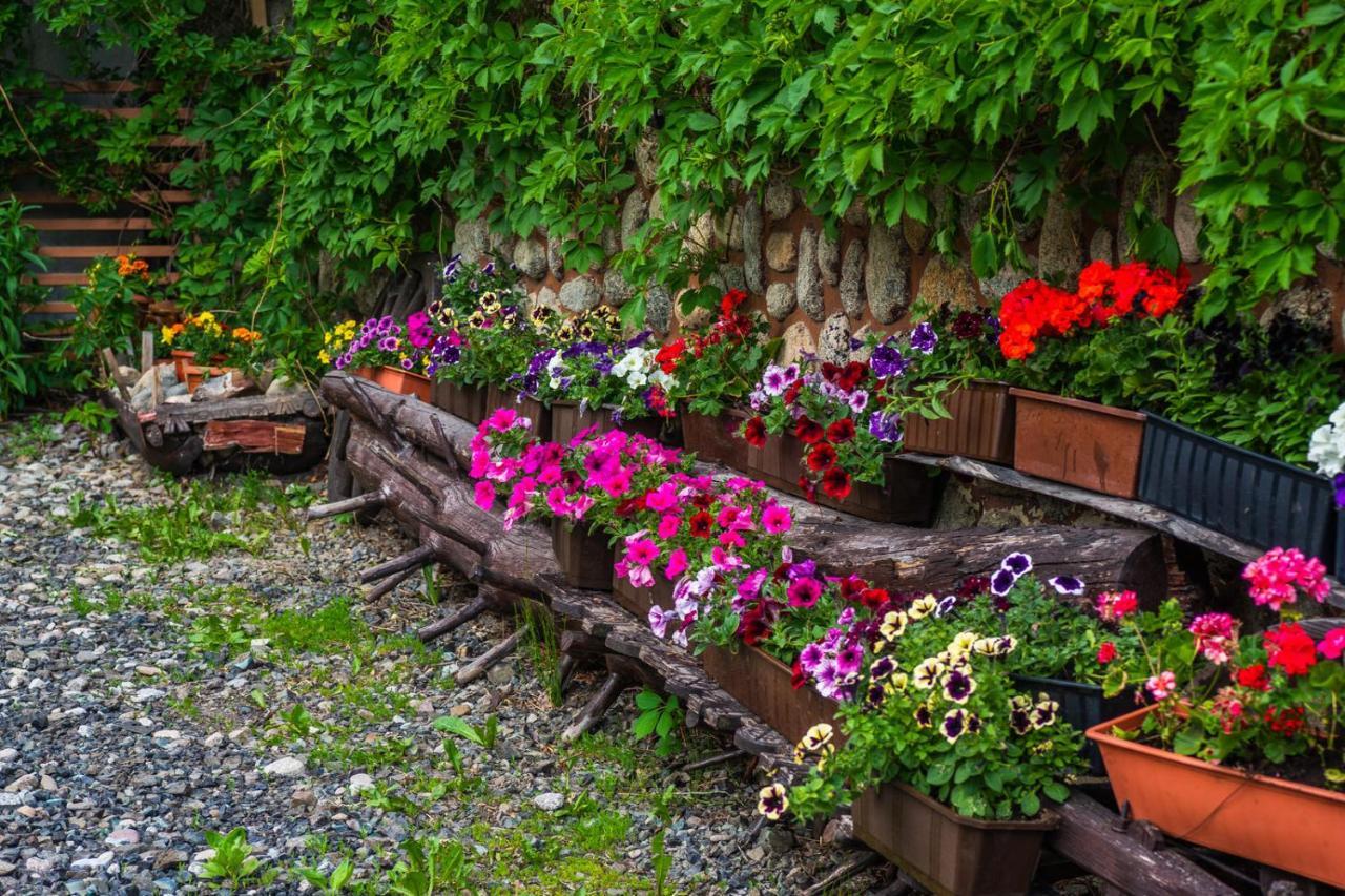 Pokoje Z Widokiem Na Gory I Prywatny Domek Z Zadaszona Altana - Grillem I Ogniskiem. Apartment Zakopane Bagian luar foto