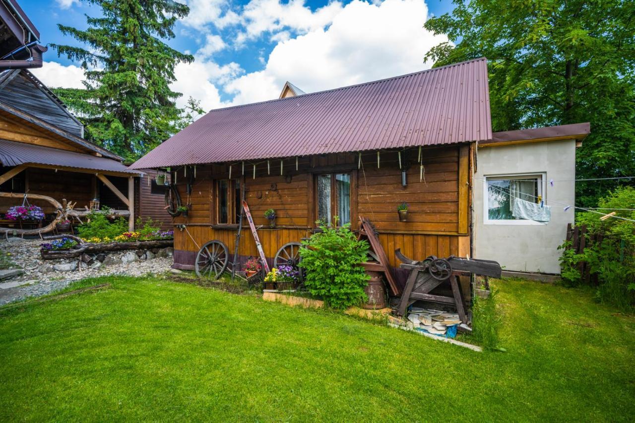 Pokoje Z Widokiem Na Gory I Prywatny Domek Z Zadaszona Altana - Grillem I Ogniskiem. Apartment Zakopane Bagian luar foto